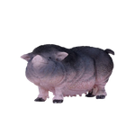 Фигурка KONIK Вислобрюхая свинья