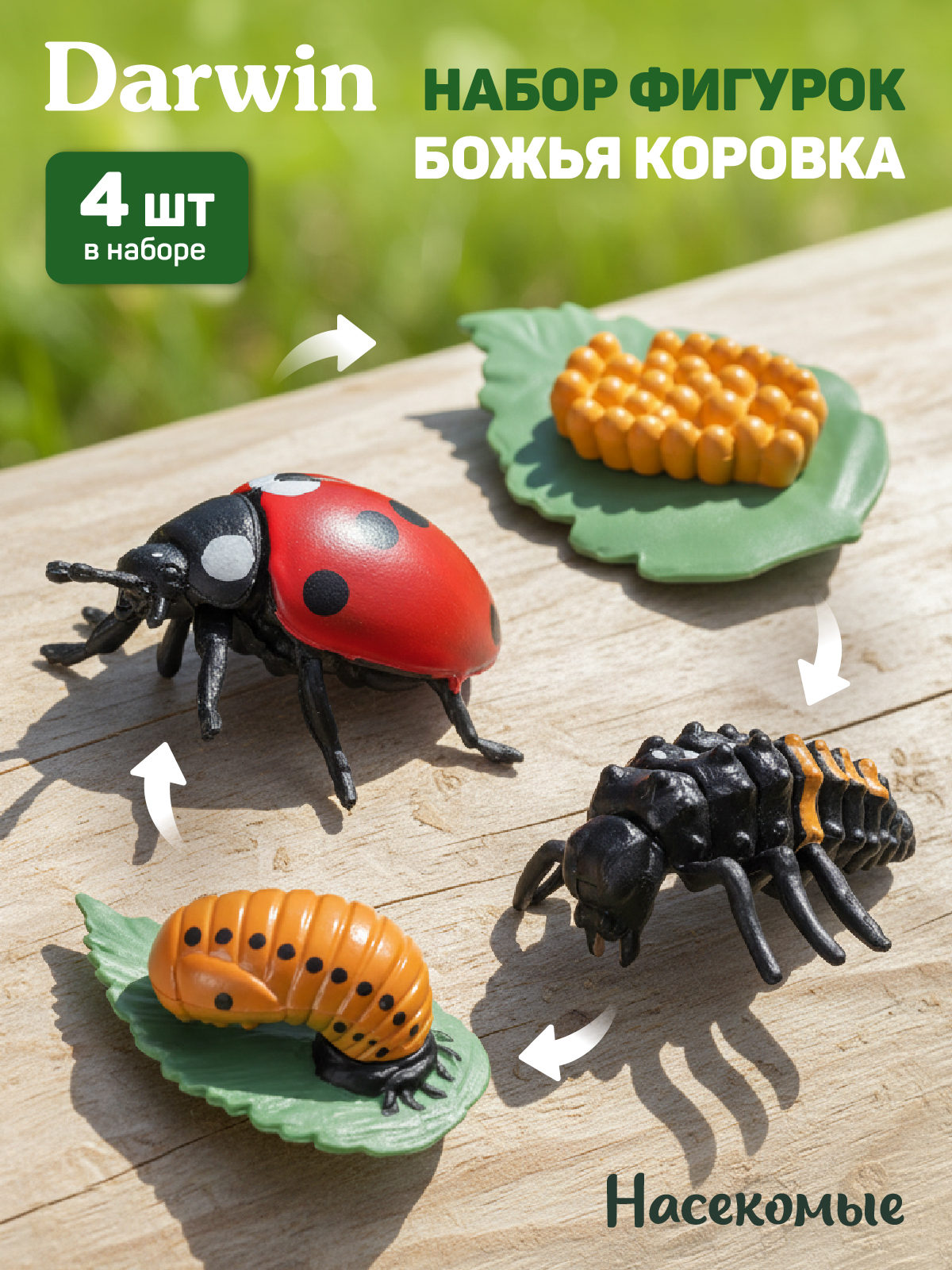 Игровой набор DARWIN Насекомые Божья коровка 4 шт - фото 1