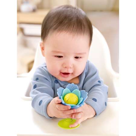 Игрушка Hape погремушка Голубой цветок