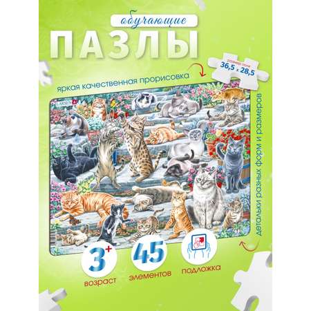 Пазл Larsen классический