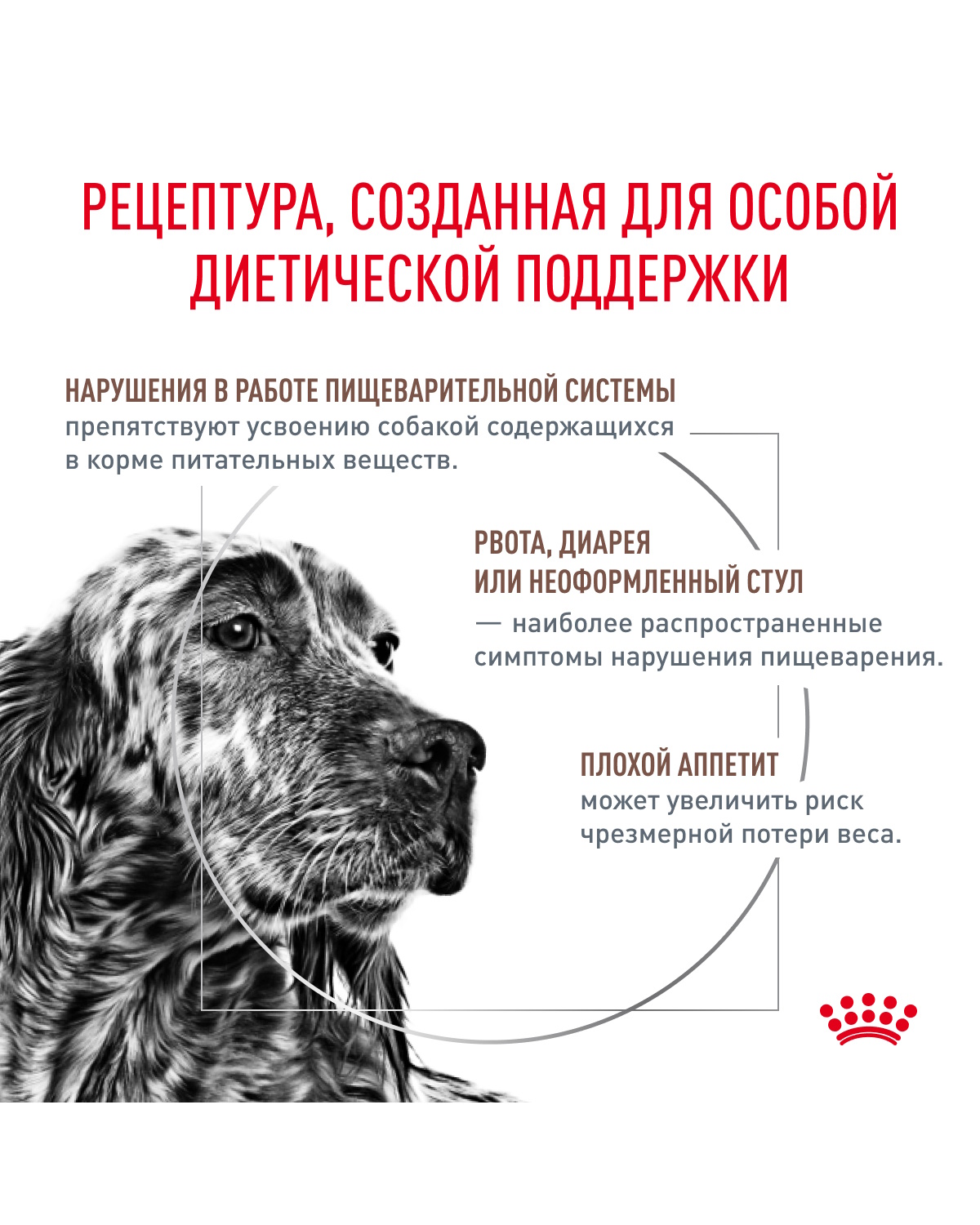 Корм для собак ROYAL CANIN Gastro Intestinal GI25 при нарушениях пищеварения 2кг - фото 3