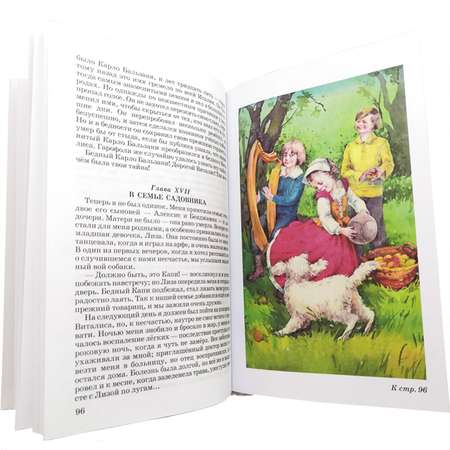 Книга Искатель Без семьи