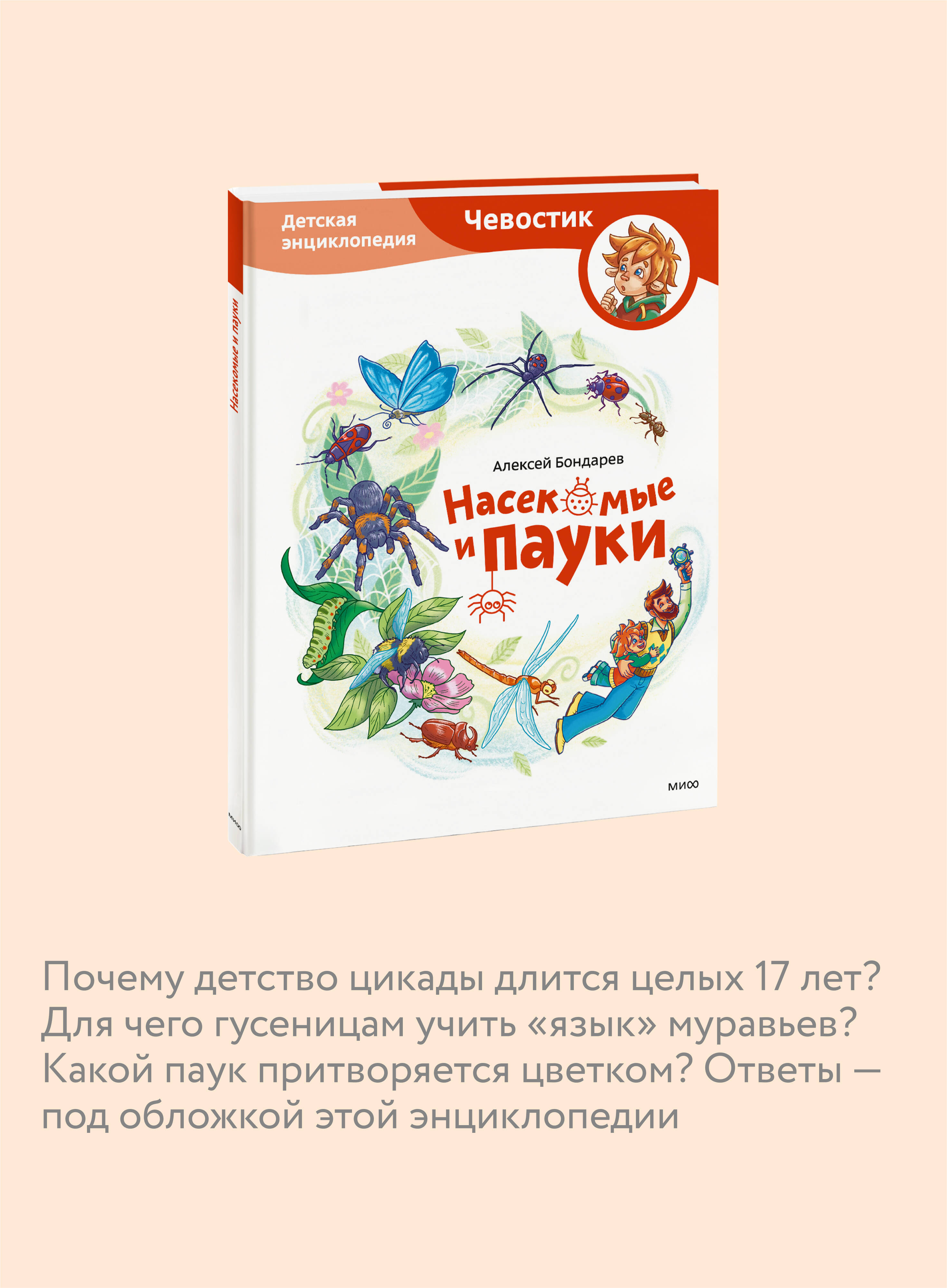 Книга МИФ Насекомые и пауки. Детская энциклопедия (Чевостик) - фото 2