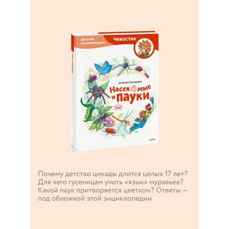 Книга МИФ Насекомые и пауки. Детская энциклопедия (Чевостик)