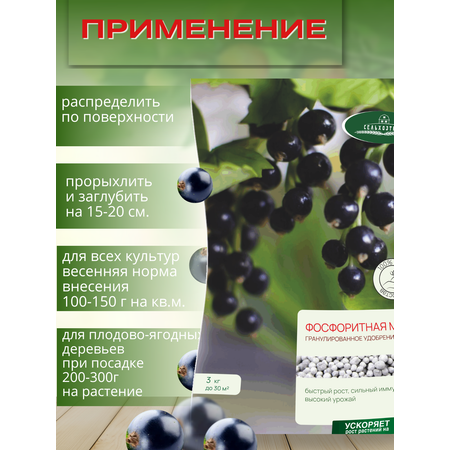 Удобрение осеннее Сельхозтрест Фосфоритная мука 3 кг
