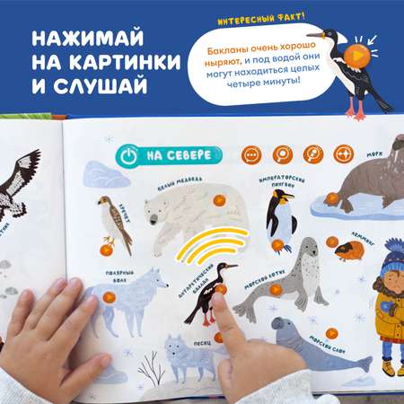 Игрушка Abumba книжка Какие бывают животные