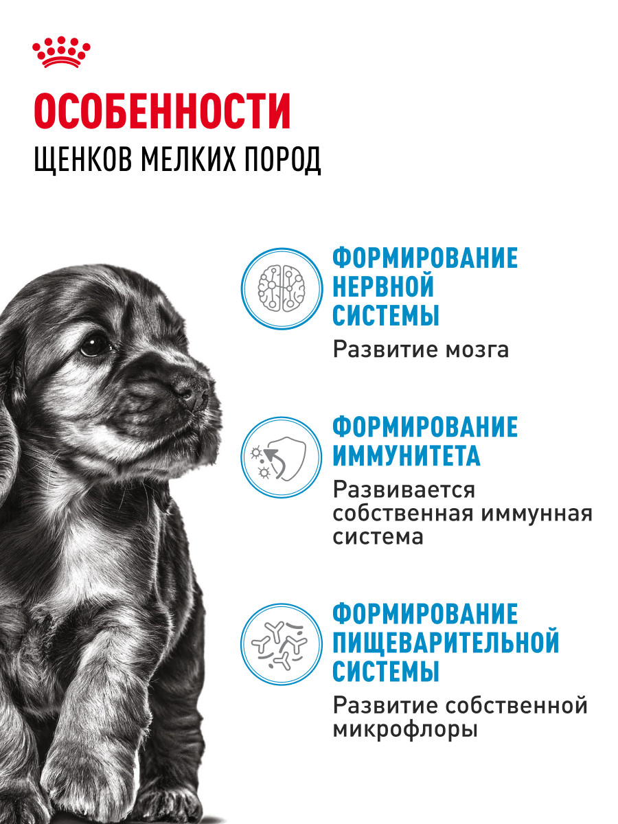 Корм для щенков Royal Canin Mini Puppy мелких пород до 10 месяцев кусочки в соусе пауч 85г - фото 2