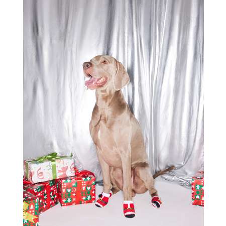 Носочки для собак и кошек Зоозавр 4 шт