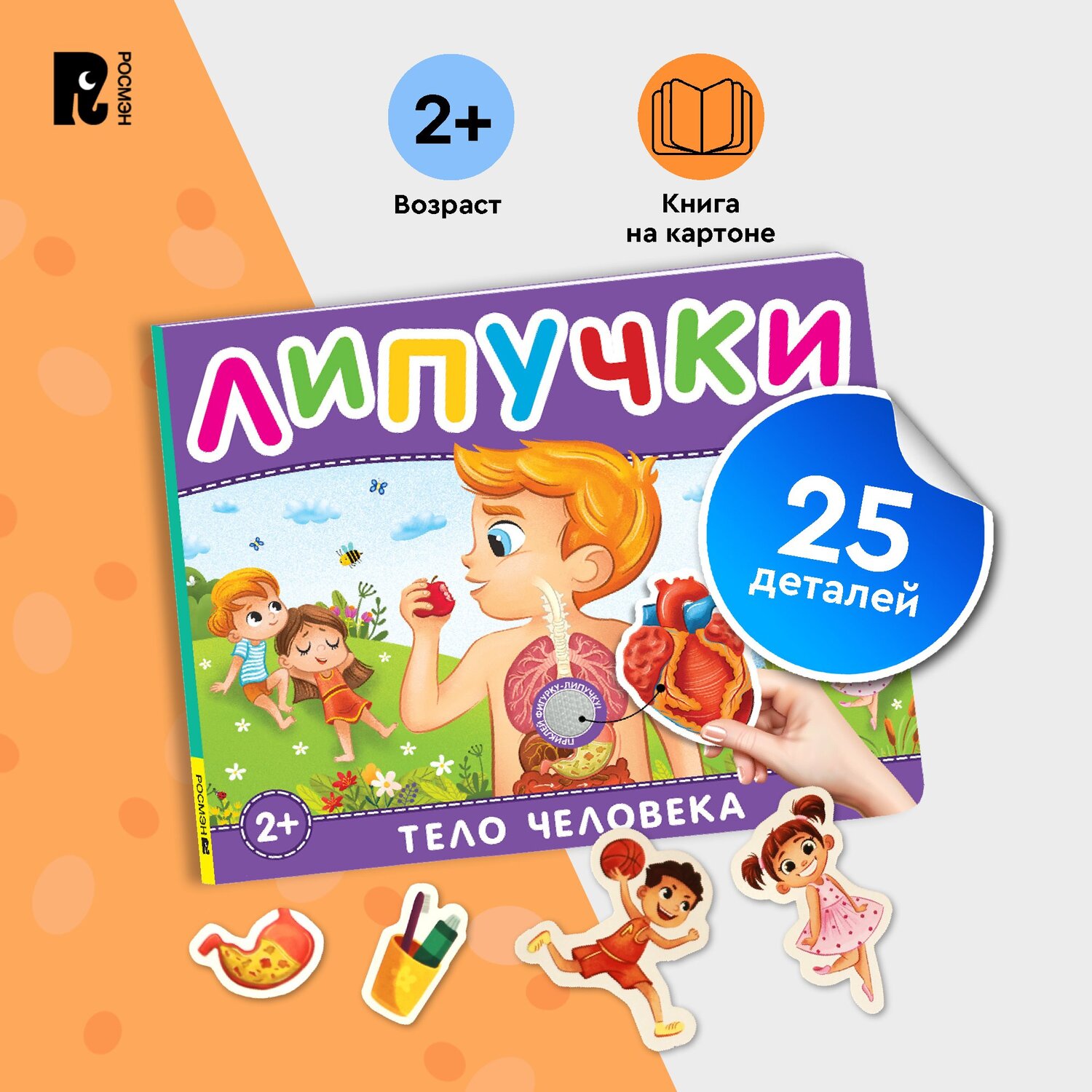 Книга Тело человека Книга с липучками - фото 7