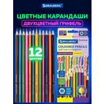 Карандаши цветные Brauberg 24 шт.
