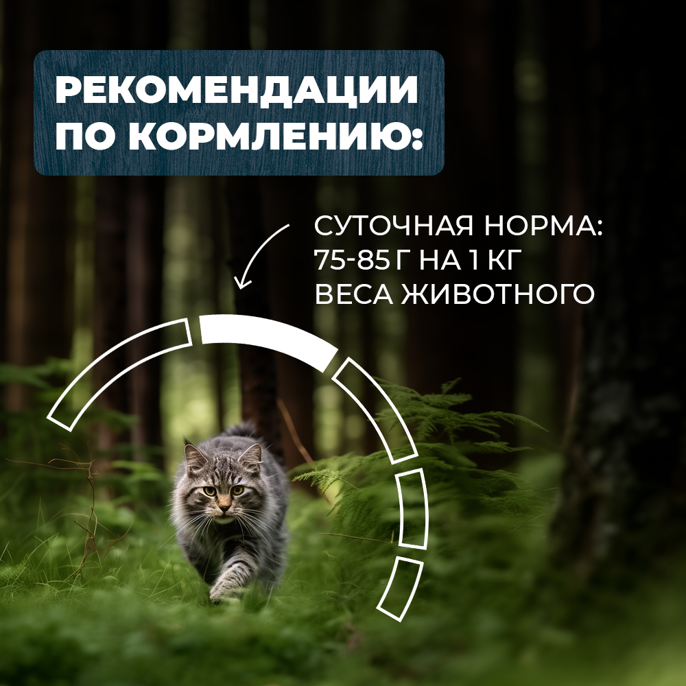 Корм для кошек и котов Родные корма стерилизованных и кастрированных По-елецки с индейкой кусочки в соусе 85г - фото 5