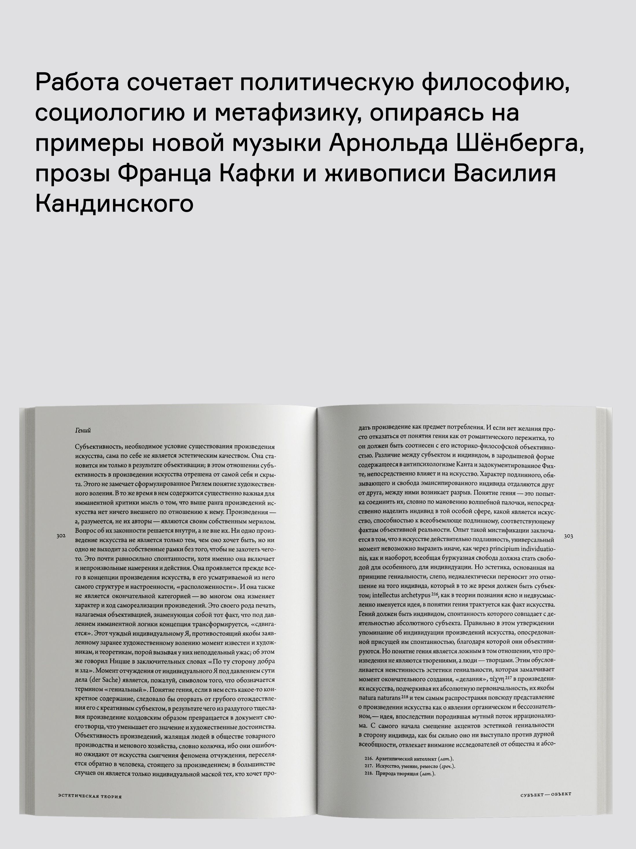 Книга Ad Marginem Эстетическая теория - фото 10