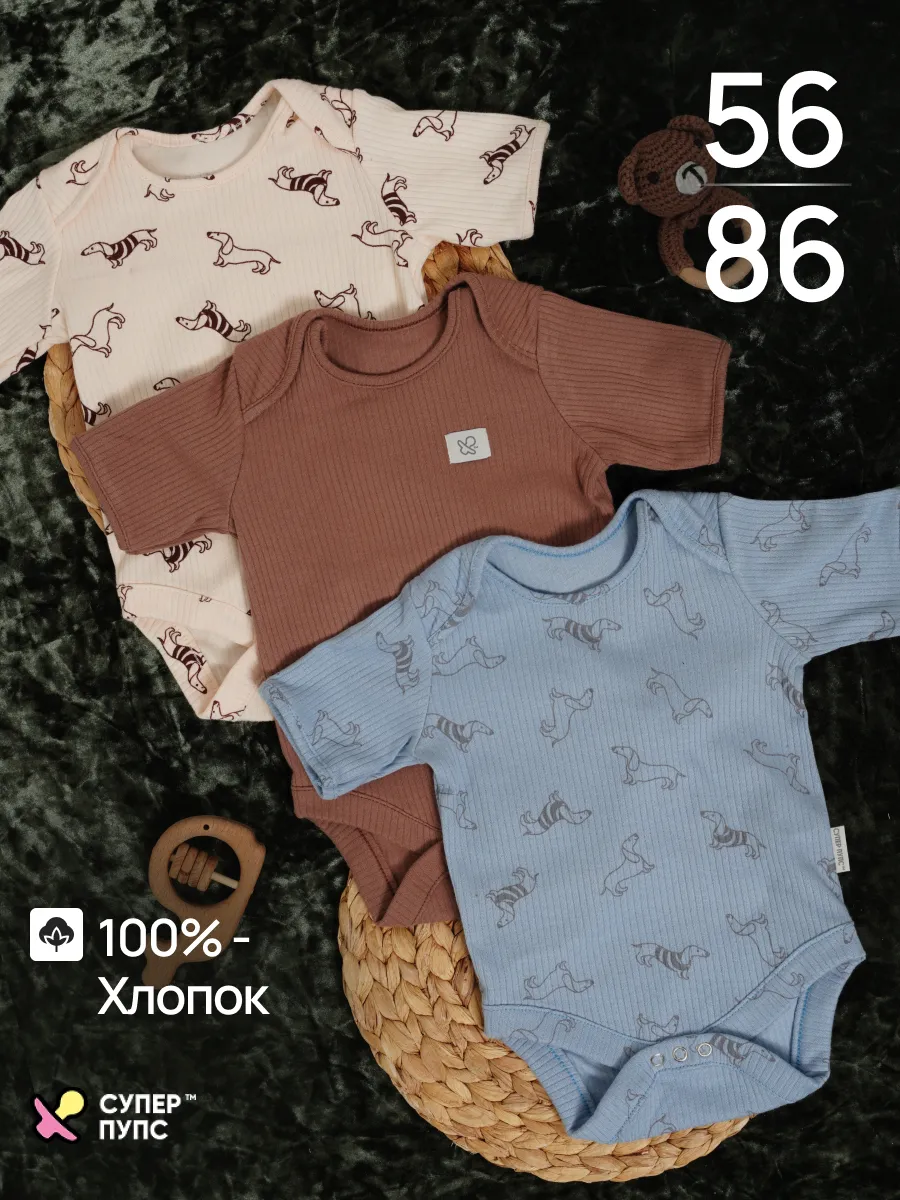 Боди 3 шт Супер Пупс нбр/3пр/бд/коррук/2026/таксы - фото 2
