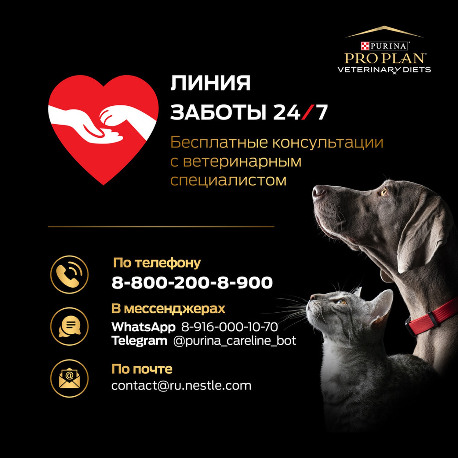 Корм для кошек Purina Pro Plan Veterinary diets 85г с говядиной при сахарном диабете влажный в соусе - фото 8