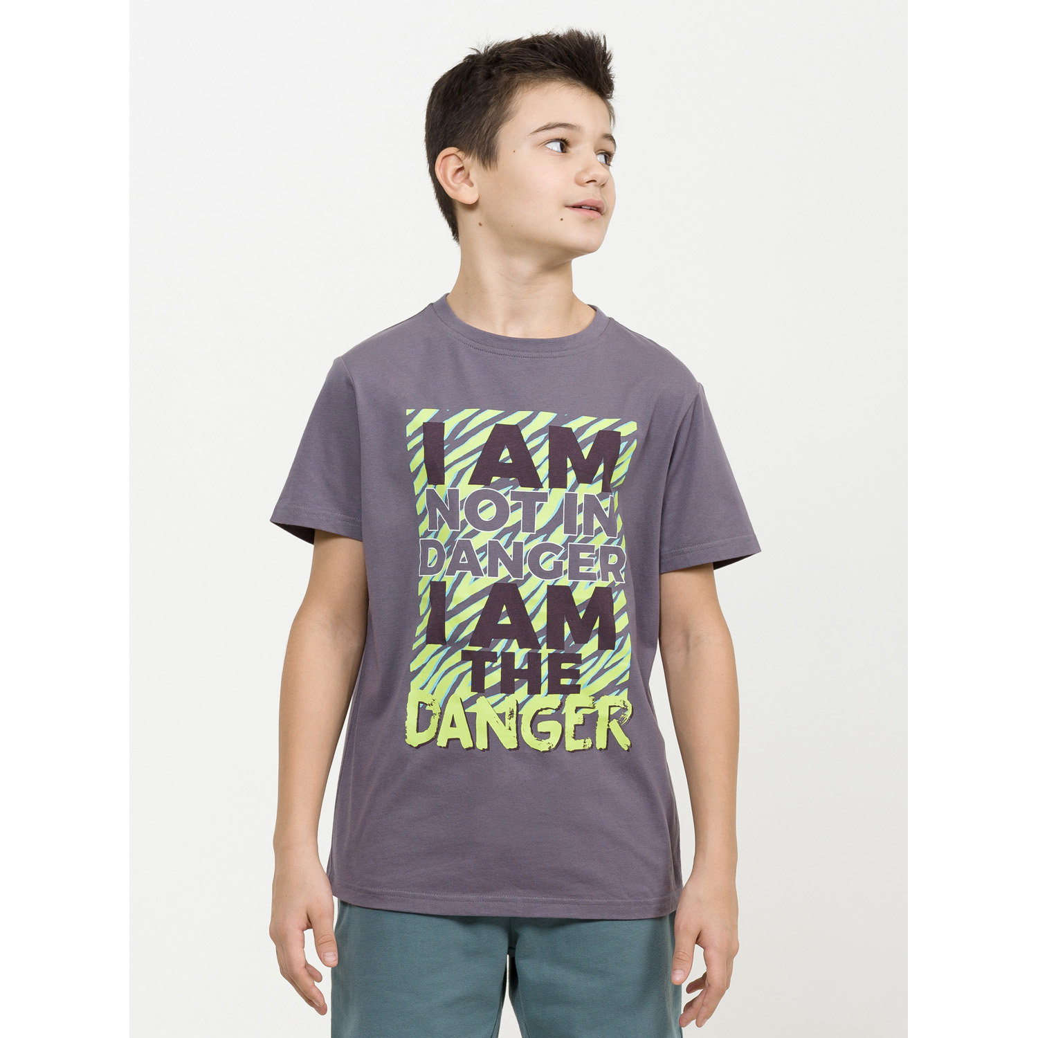 Футболка Pelican BFT4265/2/Серый(40) - фото 1