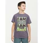 Футболка Pelican