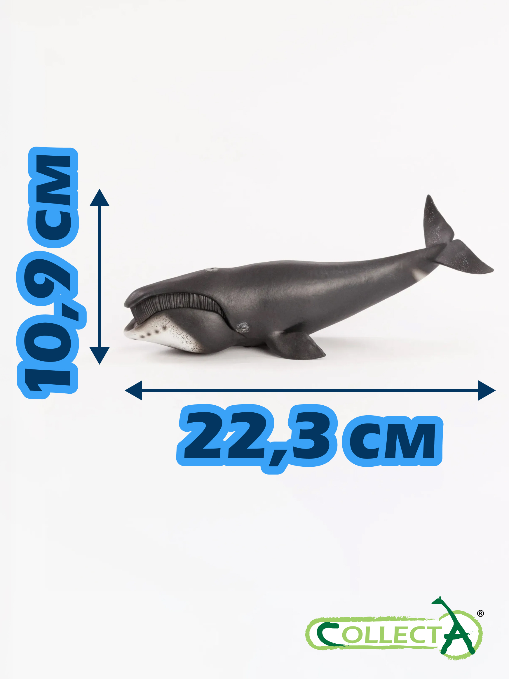 Фигурка Collecta Гренландский Кит - фото 2