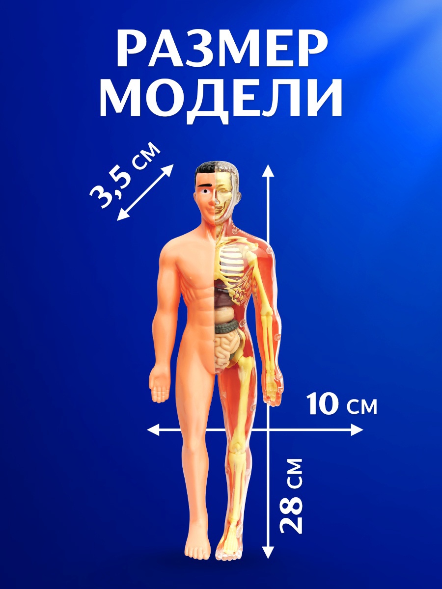Эврики - фото 3