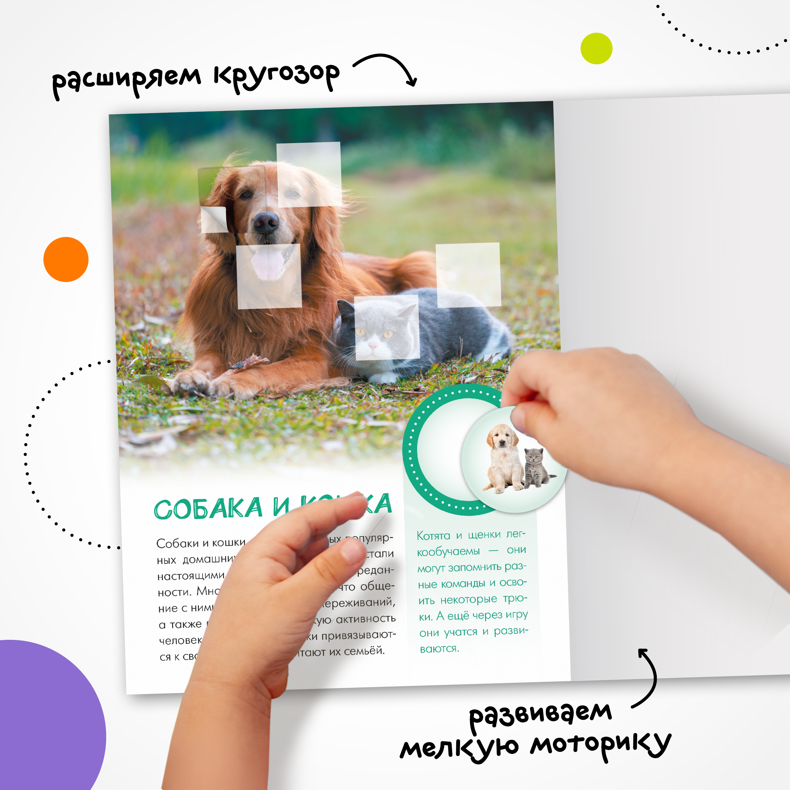 Набор МОЗАИКА kids Мир животных с наклейками 4 книги с наклейками - фото 8