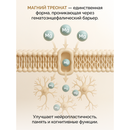 БАД MedCraft Магний треонат 2100 мг, 90 капс.