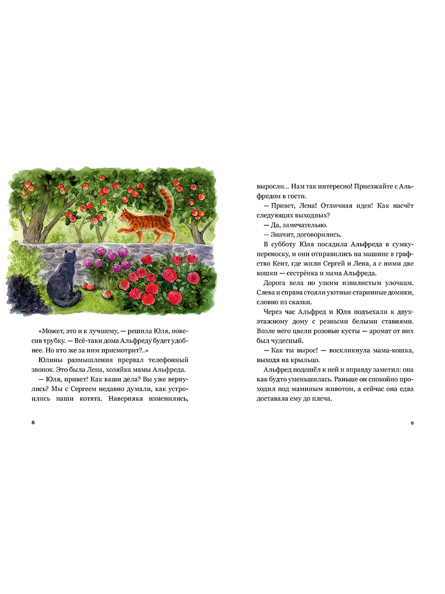 Книга Альпина. Дети Сказочные приключения кота Альфреда - фото 10
