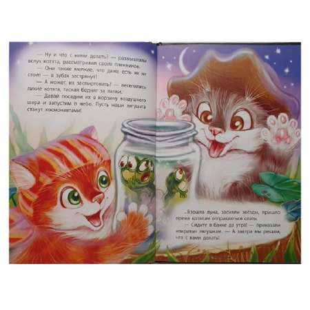 Книга FunTun Котята-пираты