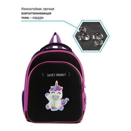 Ранец BERLINGO Expert Plus Uni style