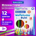 Фломастеры Brauberg 12 цв.