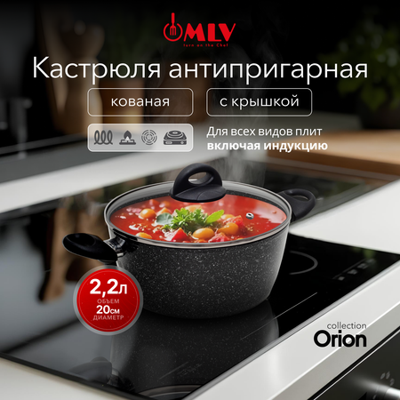 Кастрюля для индукционных плит с крышкой Moulin Villa Оrion 2,2 литра