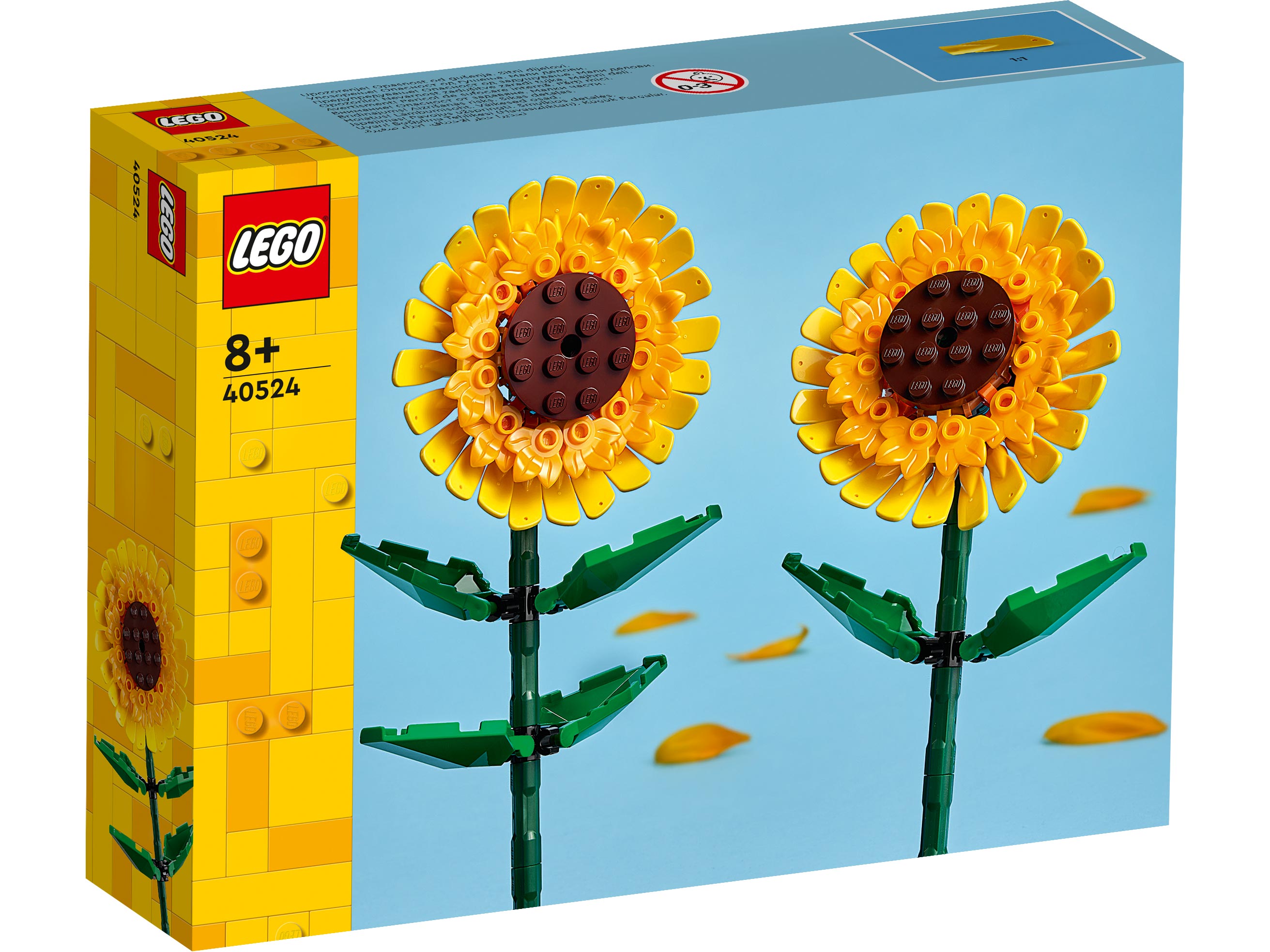 Конструктор LEGO Botanicals Сувенирный набор 191 дет. - фото 5