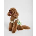 Сарафан для собак и кошек Зоозавр