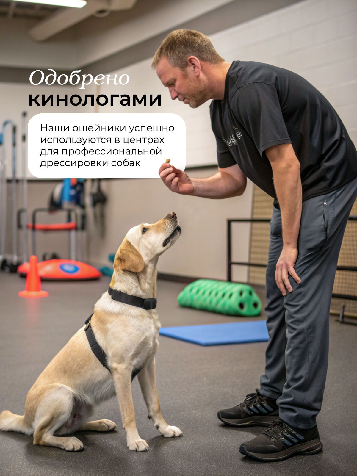 Ошейник для собак SuperPets электронный дрессировочный - фото 8