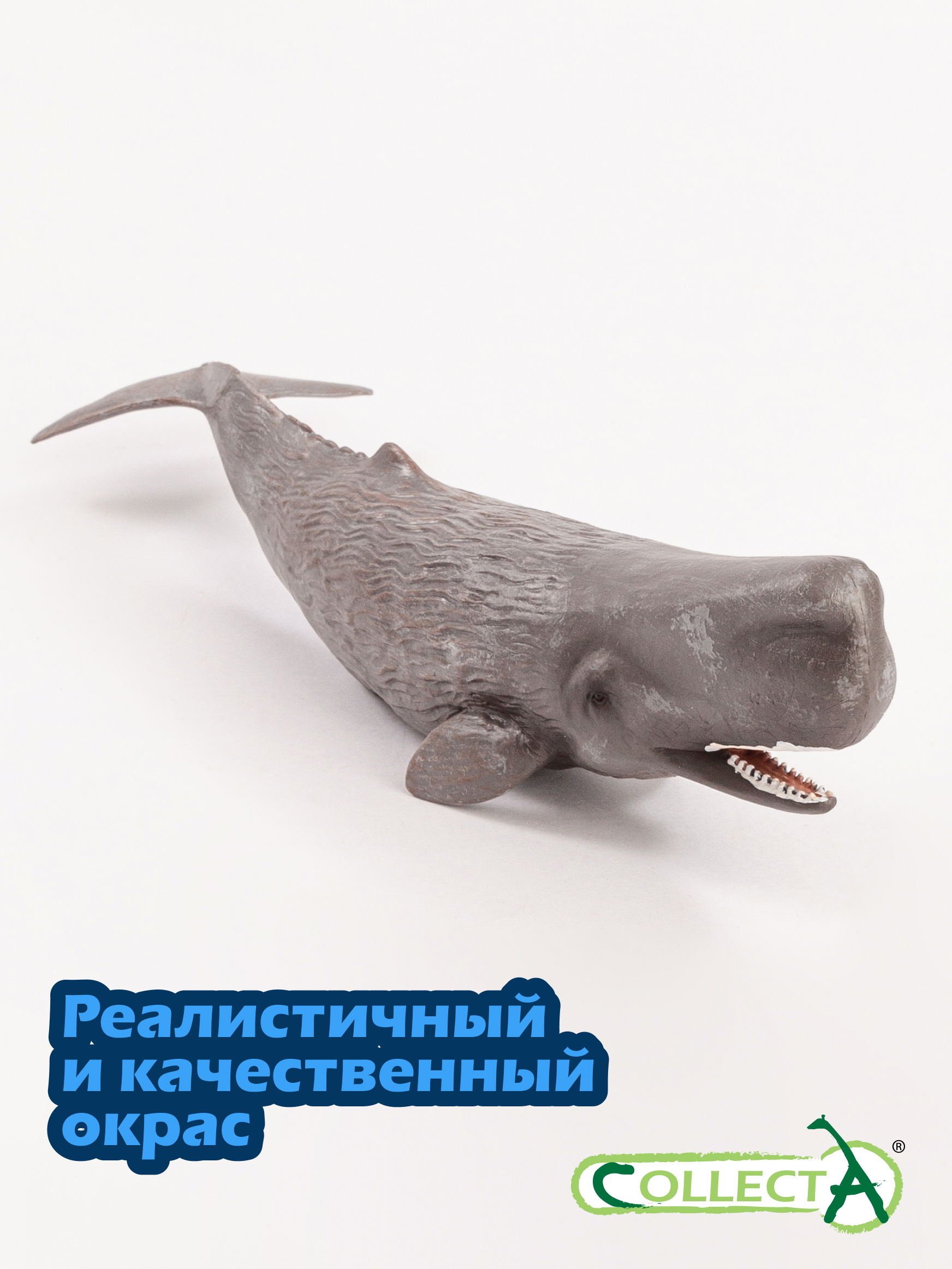Фигурка Collecta Кашалот - фото 4