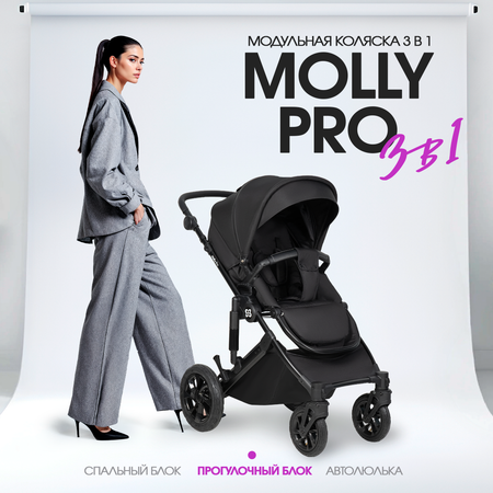 Коляска 3в1 Farfello Molly Pro черный