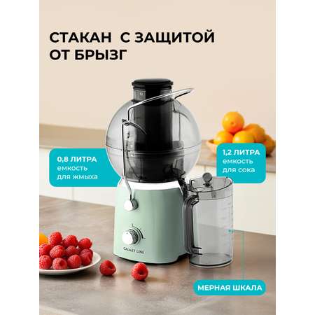 Соковыжималка Galaxy LINE GL0811 свежая мята