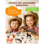 Игровой набор TrendToys домашние животные 12шт
