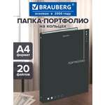 Портфолио школьника Brauberg папка А4 на кольцах 20 файлов для девочки и мальчика