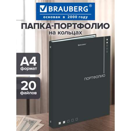 Портфолио школьника Brauberg папка А4 на кольцах 20 файлов для девочки и мальчика