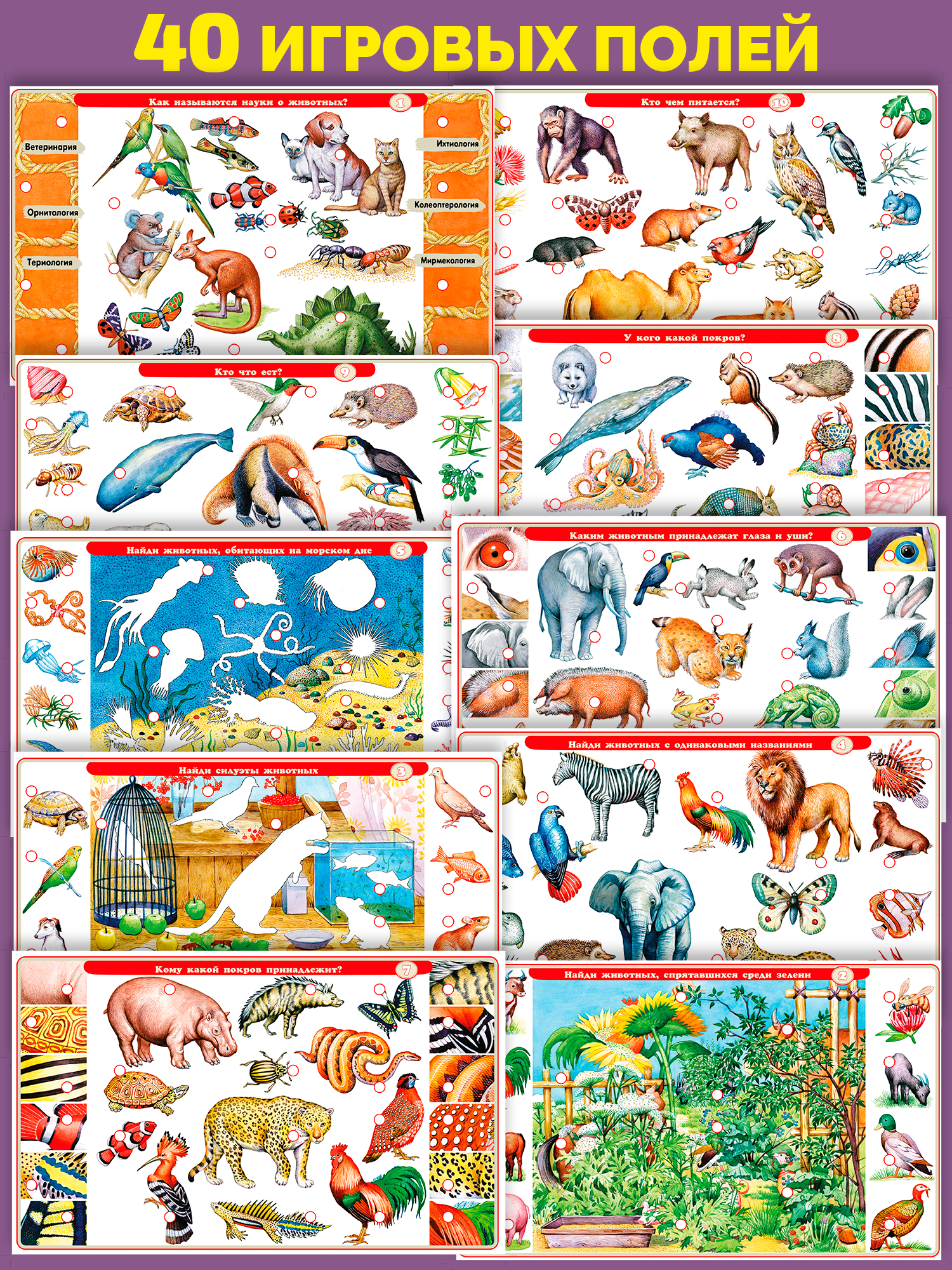 Настольная игра Дрофа-Медиа Электровикторина - фото 4