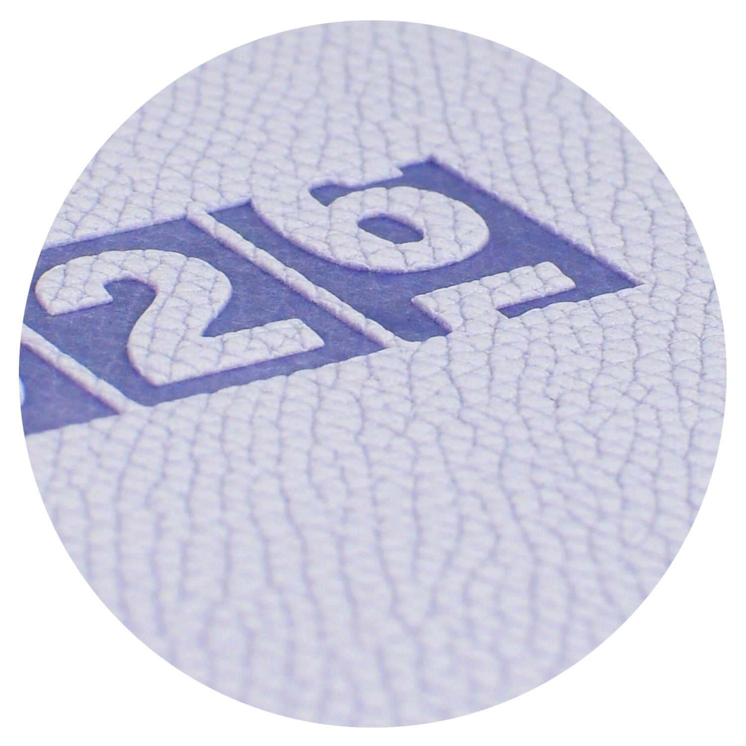 Ежедневник Феникс + ESCALADA 64 лист. - фото 2