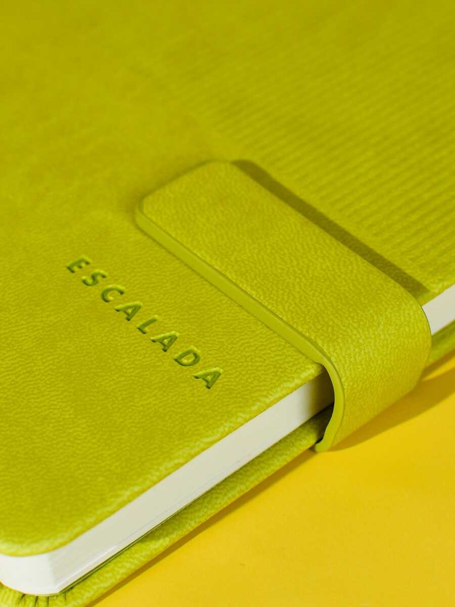 Ежедневник Феникс + ESCALADA 120 лист. - фото 4