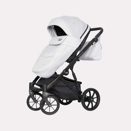 Коляска 2 в 1 Riko Basic