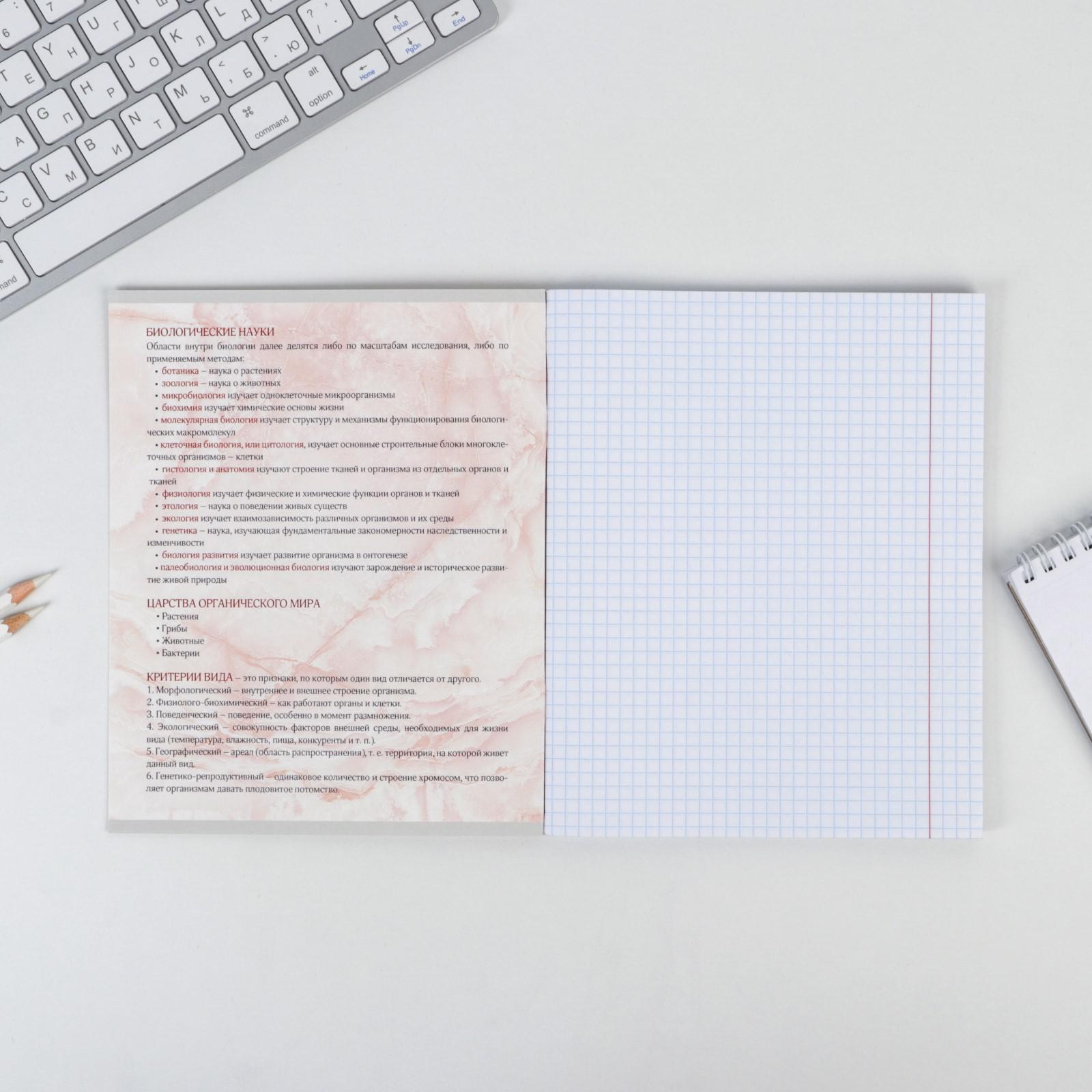 Тетрадь ArtFox STUDY - фото 2