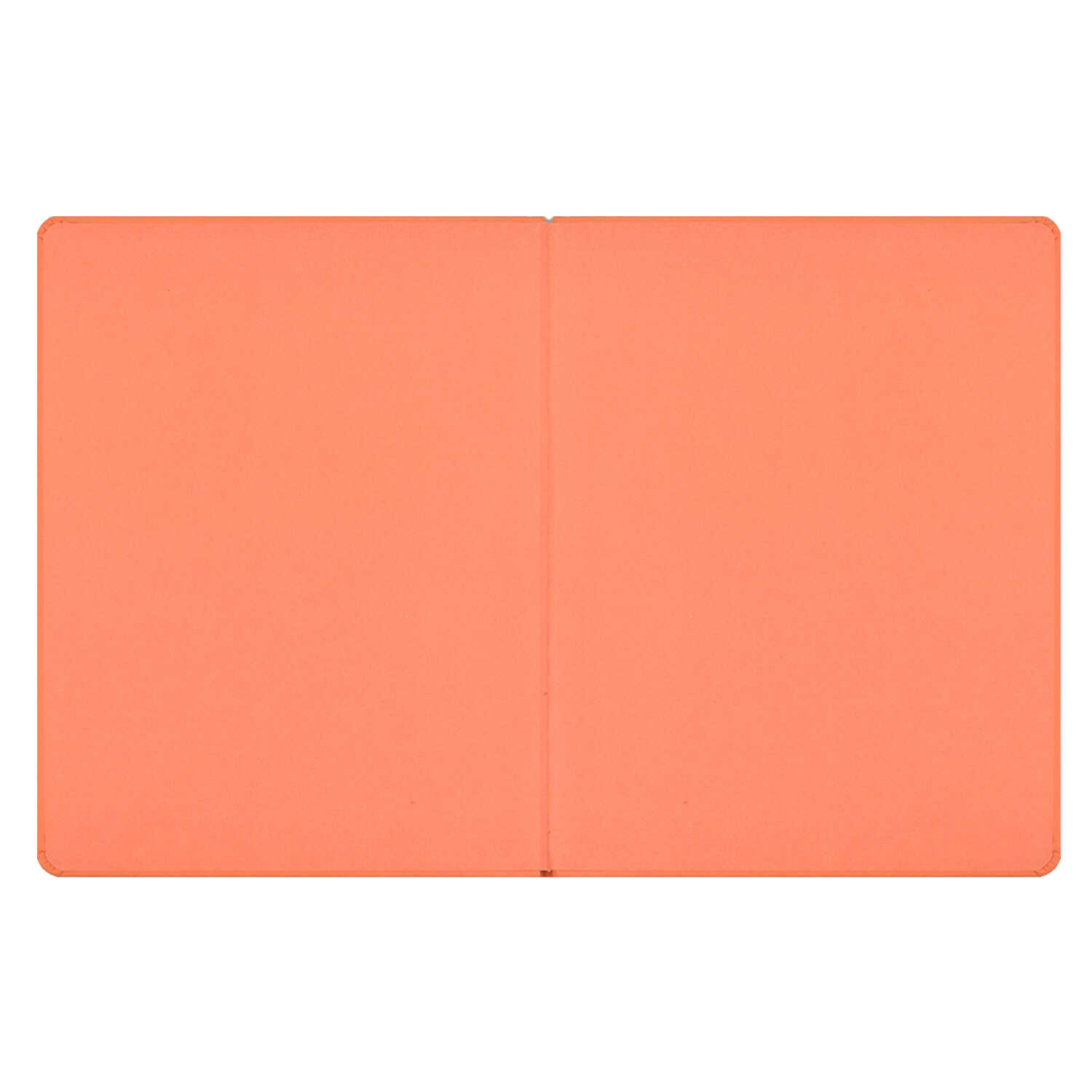 Дневник школьный Феникс + Пончики - фото 8