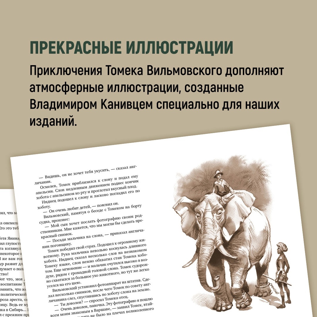 Книга АЗБУКА Томек в стране кенгуру - фото 9