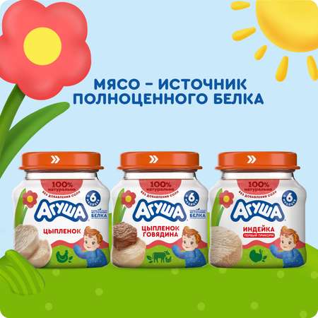 Пюре Агуша Индейка с 6 мес 80 г