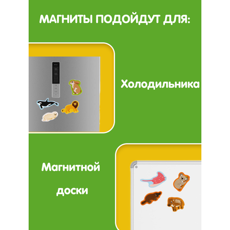 Набор магнитов \"Животные мира\"