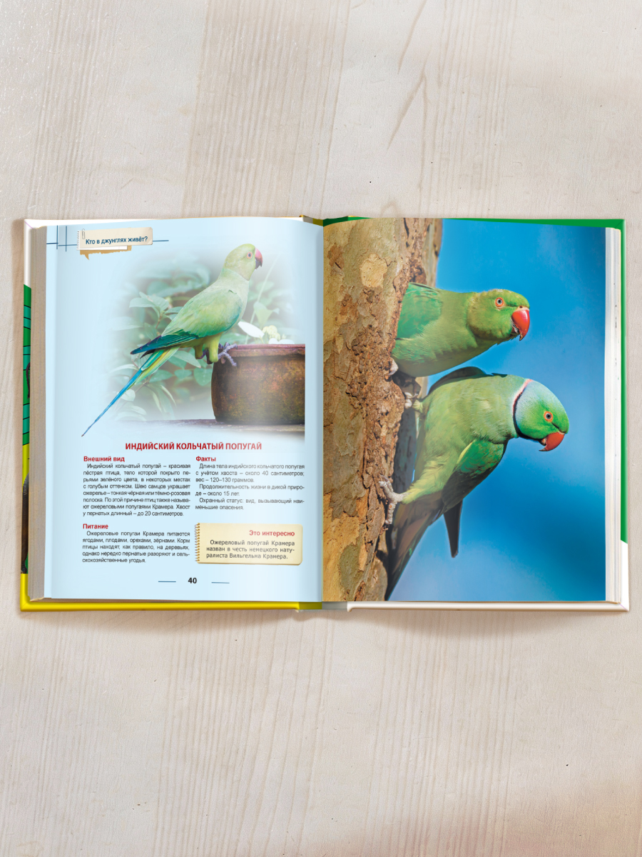 Книга Проф-Пресс Энциклопедия для детей. Кто в джунглях живёт? - фото 5