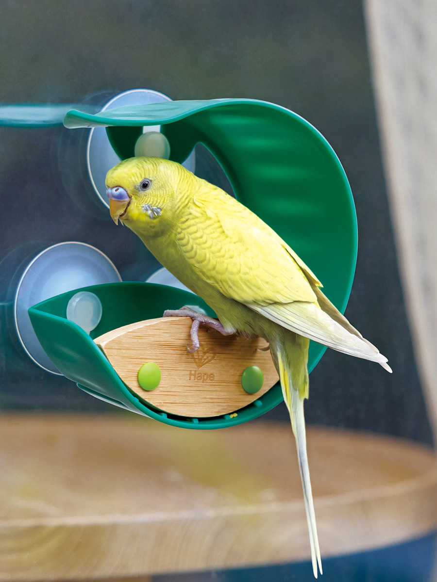 Кормушка подвесная Hape присосках на окно деревянная E5585_HP - фото 1
