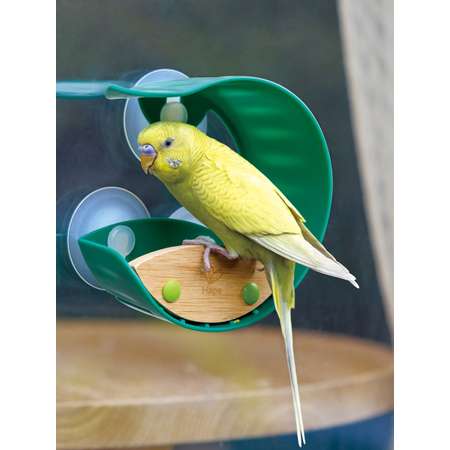 Кормушка подвесная Hape присосках на окно деревянная E5585_HP